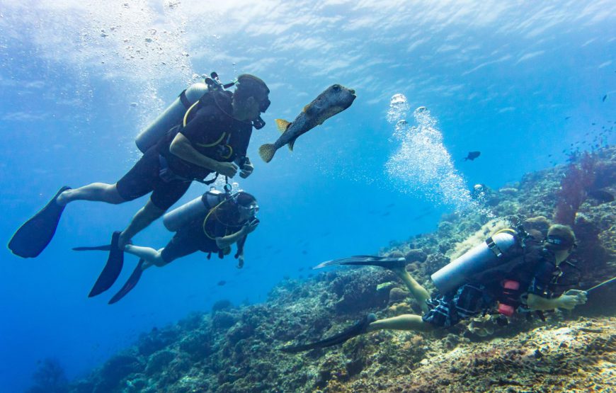 Premium Scuba Diving & Snorkeling Grande Island Goa