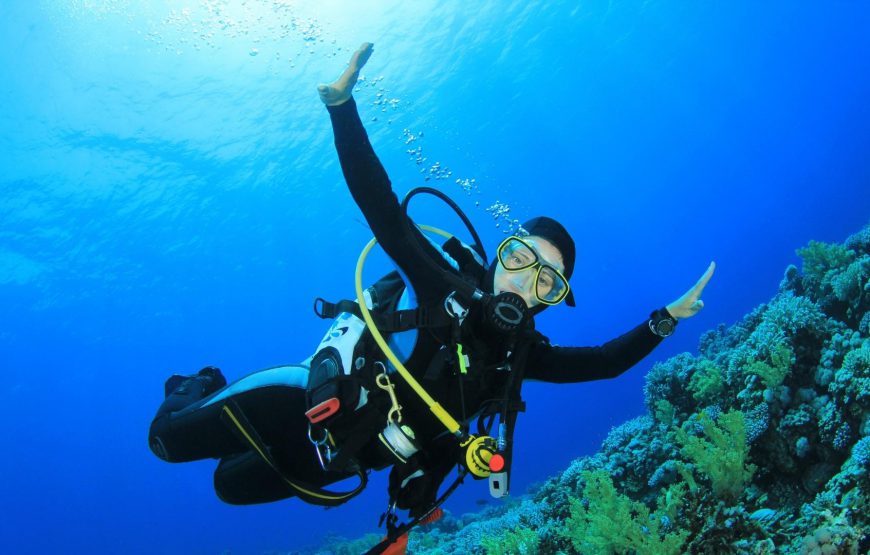 Scuba Diving and Watersports Combo Malvan